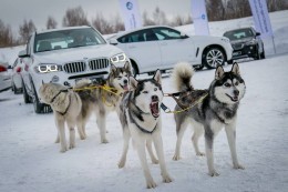 Всупереч поточної складної ситуації на авторинку, в Новосибірськ з брендом BMW виходить один з найбільших красноярських авторітейлеров - «Ведмідь-Холдинг» Миколи Бякова