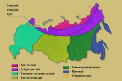 Карта природних зон Росії (   джерело   )
